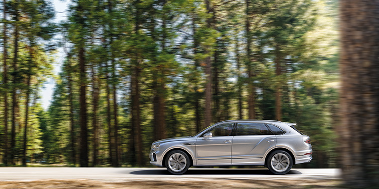 Bentley Essex (Chelmsford) Bentley Bentayga Extended Wheelbase SUV in Moonbeam paint driving dynamically on a forest road